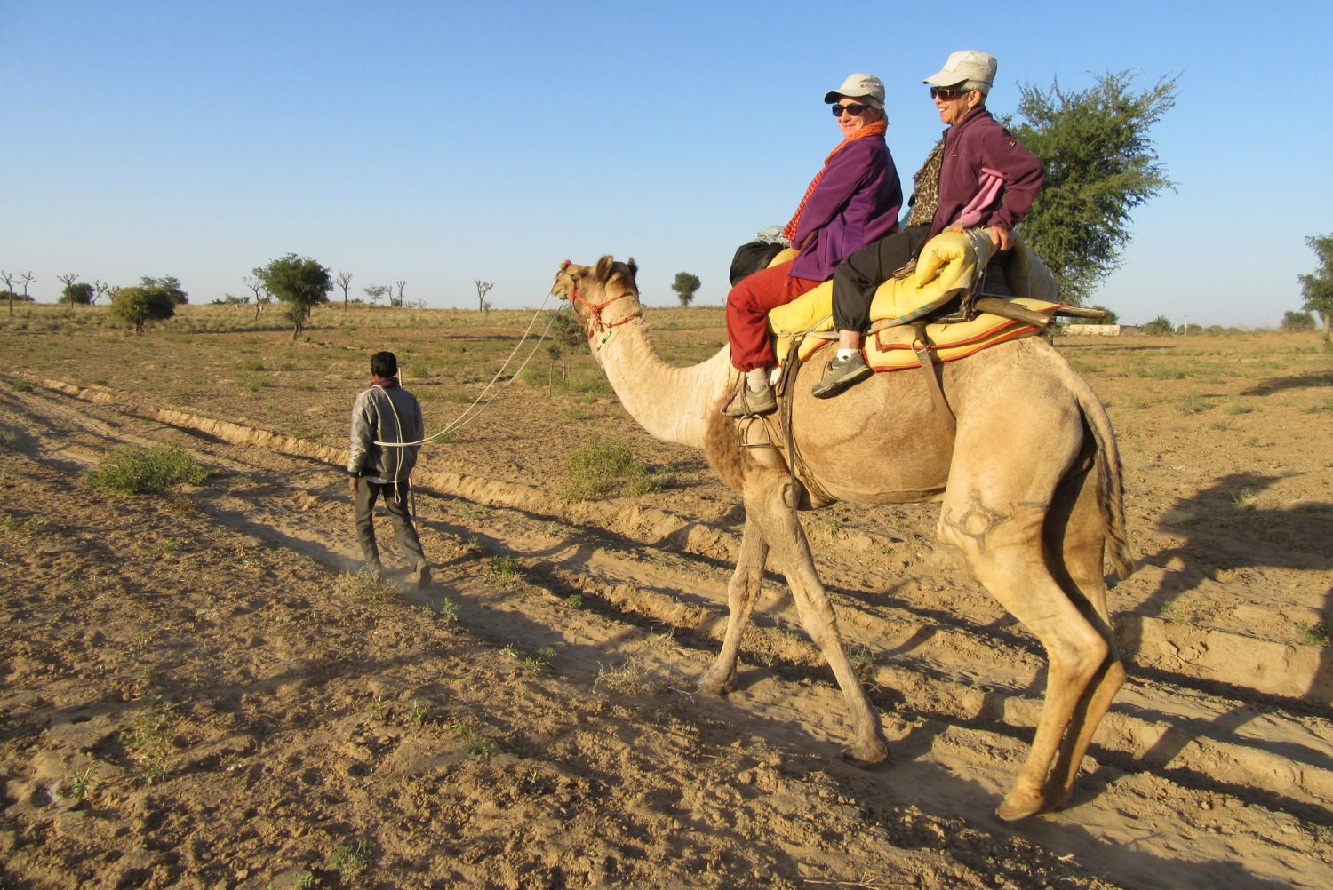 camel safari jodhpur