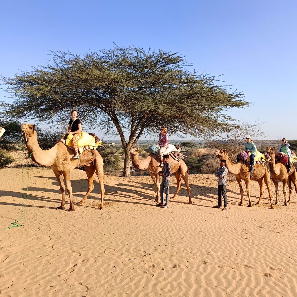 jodhpur camel safari osian