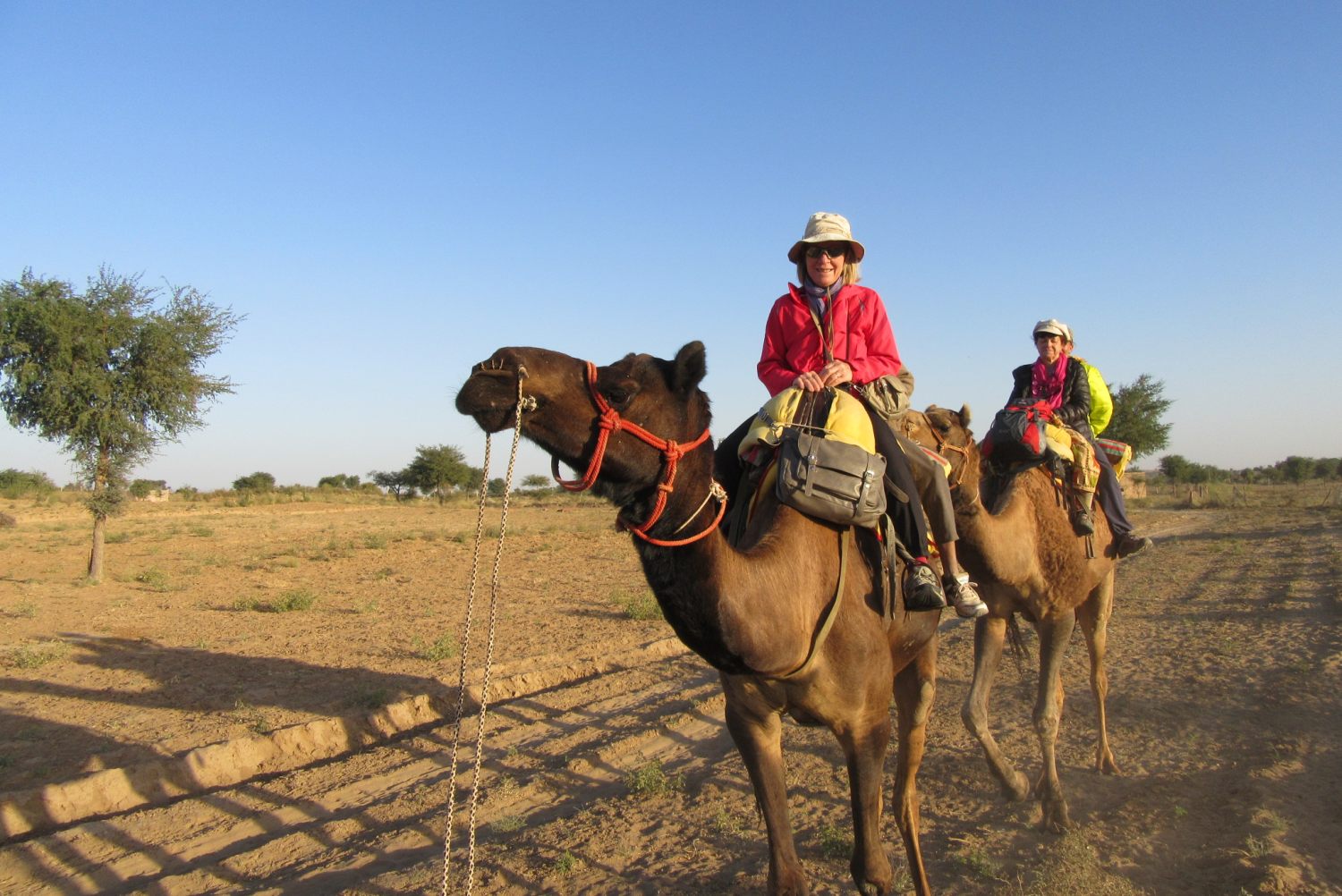 camel safari osian