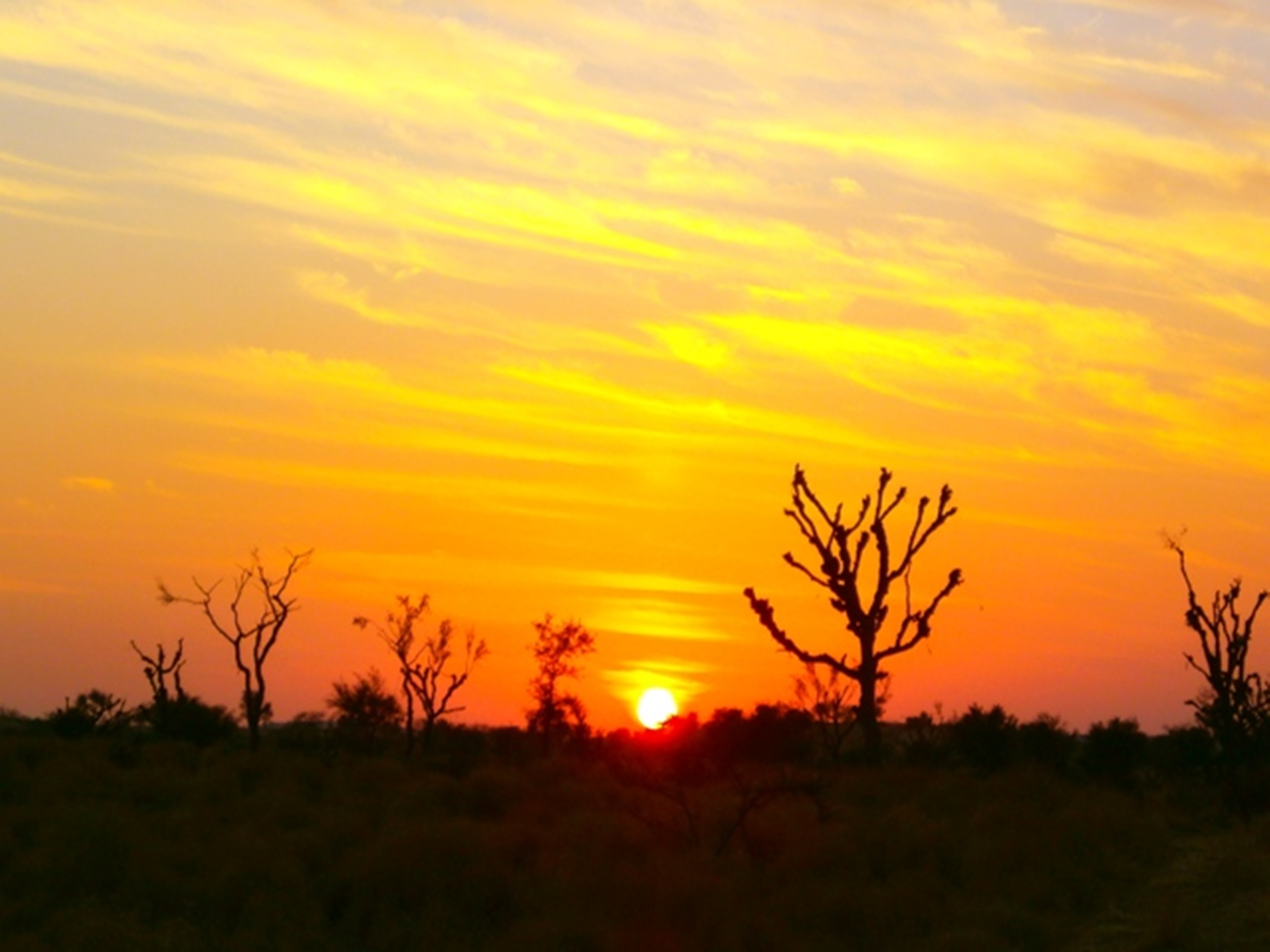 safari ride in rajasthan