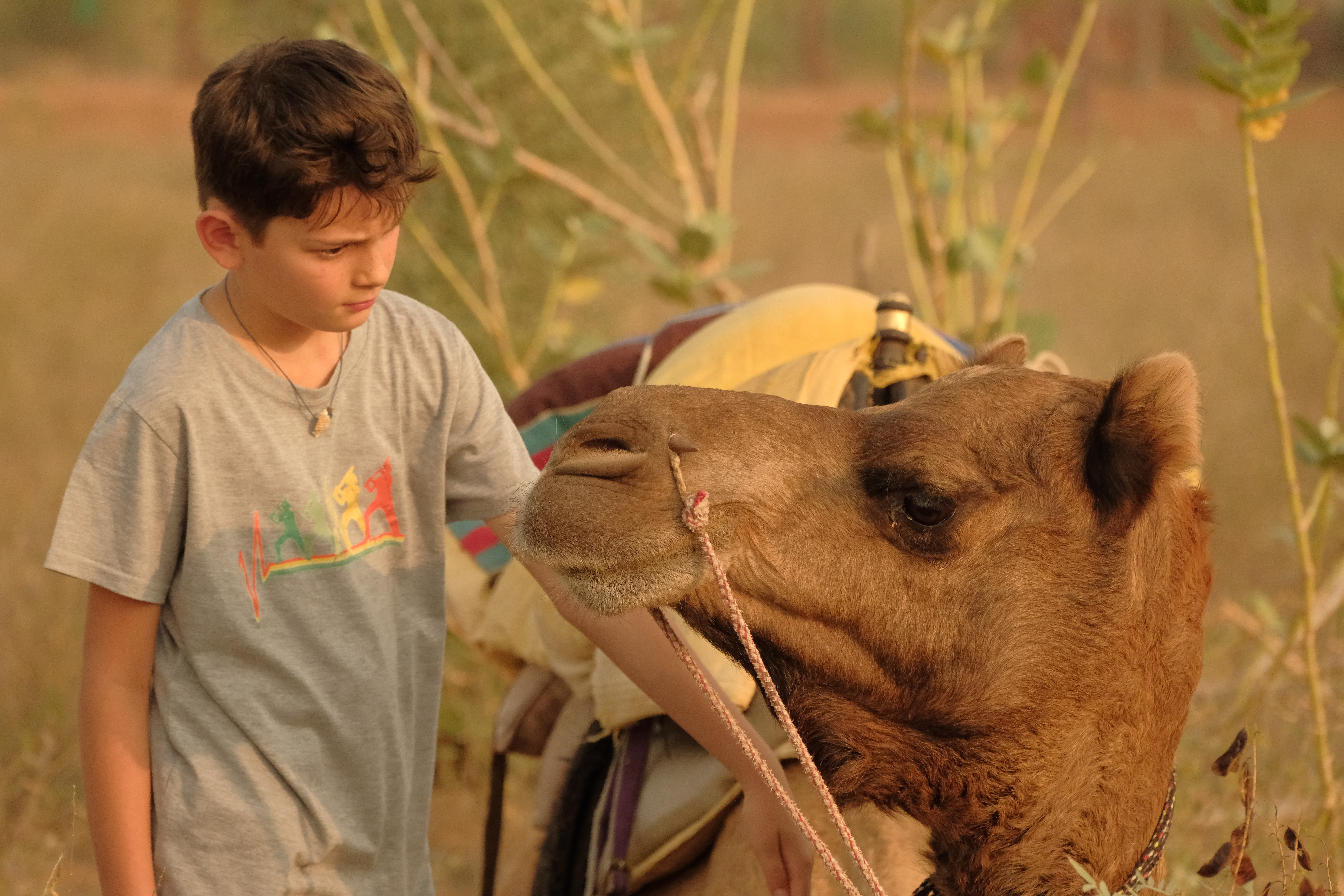  osian village safari rajasthan